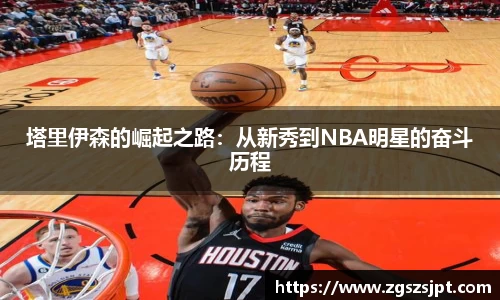 球探足球直播网