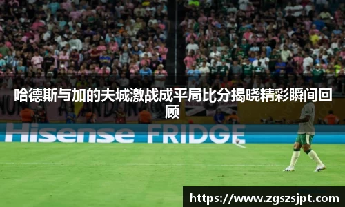 哈德斯与加的夫城激战成平局比分揭晓精彩瞬间回顾